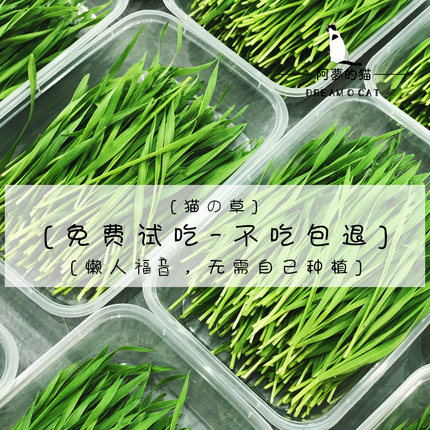 即食新鲜猫草盒懒人猫草已种好猫薄荷猫零食无需种植化毛去毛球,宠物/宠物食品及用品,猫零食罐,淘宝优惠券,粉丝福利购,淘宝优惠卷