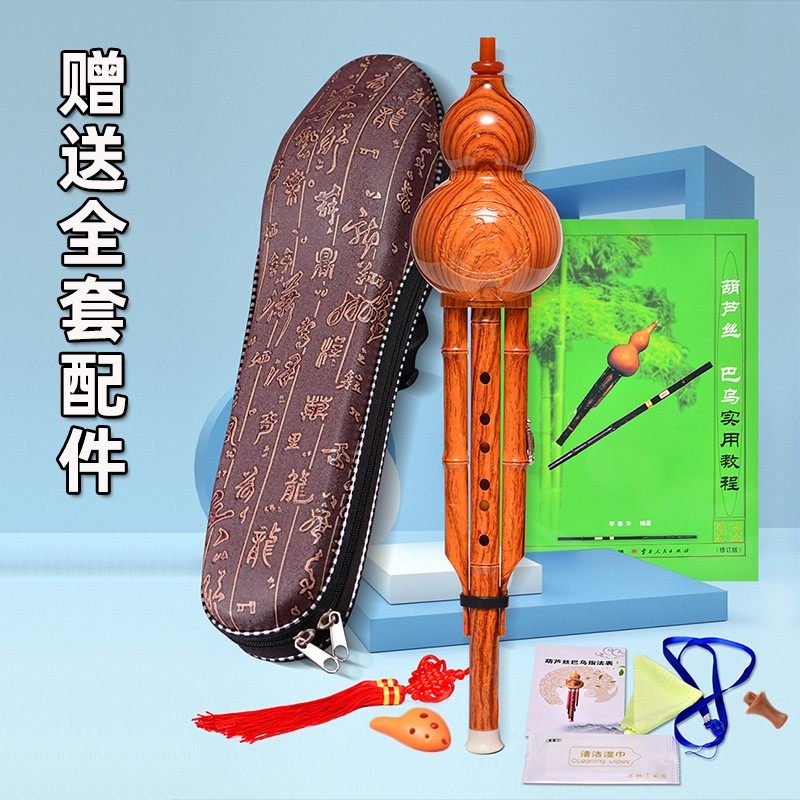 葫芦丝初学者小学生c调成人降B调入门自学专业演奏型云南雅的乐器