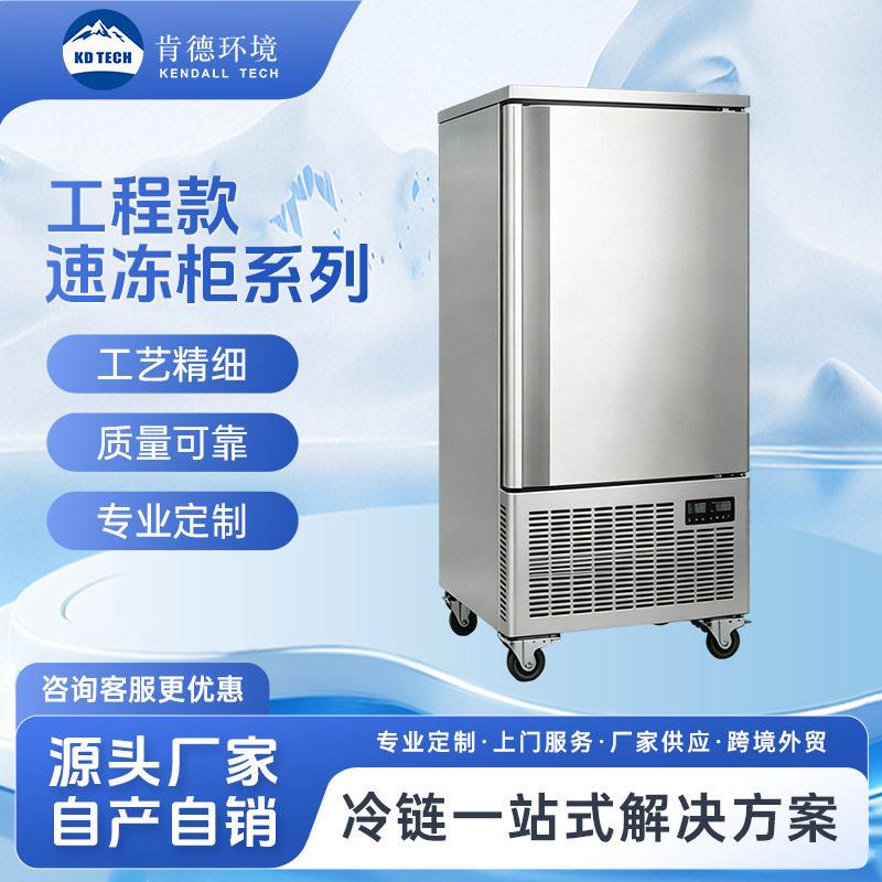 工程款门速冻冰箱全不锈钢食材急速冷冻柜餐饮商用低温速冻柜