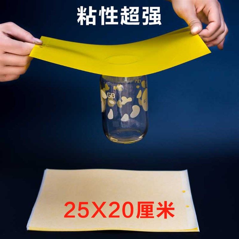 小黑飞黄色粘虫板黄板双面诱虫板果蝇贴蓝板大棚防虫沾虫板粘蝇板,鲜花速递/花卉仿真/绿植园艺,其它园艺用品,淘宝优惠券,粉丝福利购,淘宝优惠卷