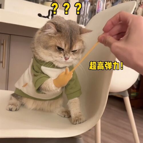 猫咪手指套人手掌软胶玩具弹力搞笑造型宠物可爱金渐层小蓝金美短
