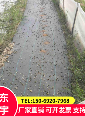 90克/黑色防草布园艺地布pp果园盖草布1米宽编织土工布可用3年