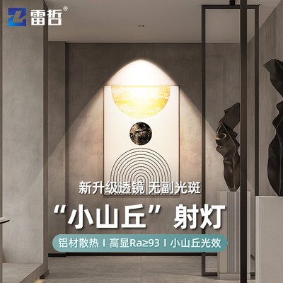 雷哲小山丘射灯led嵌入式天花灯防眩光筒灯家用客厅吊顶cob无主灯