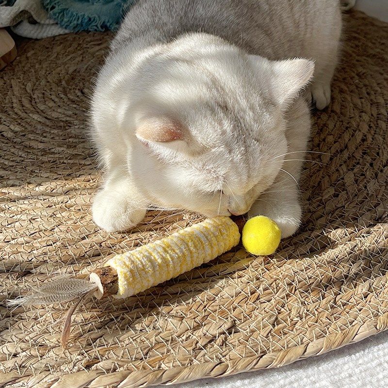 猫咪自嗨磨牙棒木天蓼毛球玩具毛线缠绕逗猫棒天然羽毛耐啃咬解闷