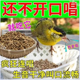 黄雀黄鸟专用食谷面食鸟粮通用配方高营养提高生命值补钙高蛋白