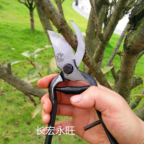 黑金刚古董剪刀老式锻打辽宁望儿山修枝剪果树剪花剪刀园艺剪包邮