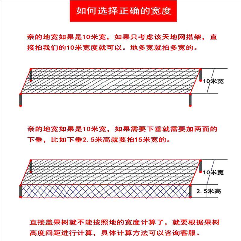 防鸟网1.5厘米网孔果园防鸟用网樱桃葡萄园防鸟网稻谷地防鸟用网