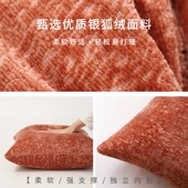 粉色高端沙发抱枕套不含芯客厅轻奢高级感靠垫2024新款 床上靠枕头