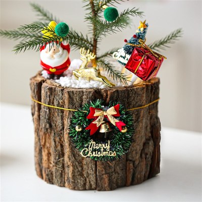 圣诞树南洋杉盆栽室内桌面绿植花卉圣诞节装饰品植物摆件创意礼物