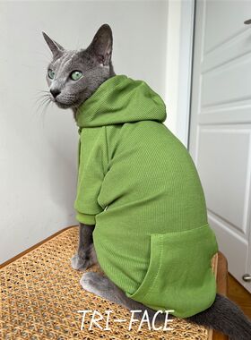 绿色卫衣 三角脸无毛德文阿比暹罗东短俄蓝豹猫春秋冬潮酷帽衫