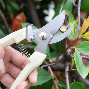 园艺剪枝剪刀修枝剪果树不锈钢园林花艺剪树枝剪刀省力工具家用装