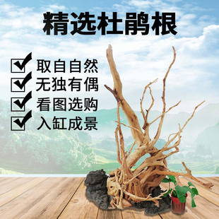 杜鹃根沉木造景木天然树形水族箱鱼缸造景摆件栖根小号看图选树根