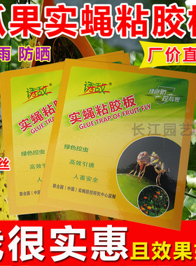诱敌实蝇粘胶板万蝇迷果蝇诱捕贴果园实蝇针蜂贴农用大棚粘虫黄板