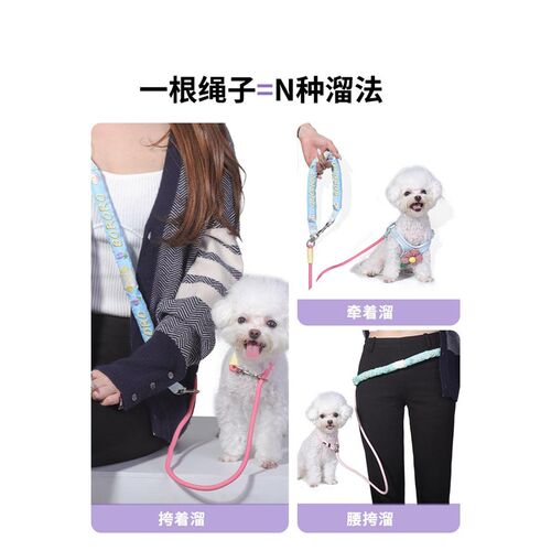 BORORO小狗狗牵引绳P绳外出遛狗专用链子中小型犬防爆冲链条