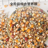 成鸽鸽粮鸟粮食鸟食鸟饲料信鸽料鸽子食营养补钙豌豆玉米鸽子饲料
