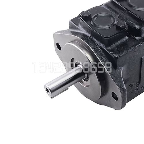 DENISON丹尼逊T6C-022/025/028/031-1R00/1R01/1R02-A1叶片泵油泵