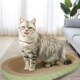 猫抓板瓦楞纸耐磨不掉屑猫爪玩具猫窝一体猫抓垫特大号养猫耐抓