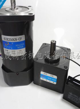 250W 交流220V 定速电机 6IK250GN-CF 齿轮单相减速微型/6GN75K