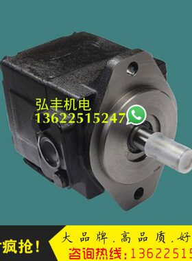 DENISON丹尼逊款平替变量叶片泵T6C0221R00B1油泵T6C0221R01B1