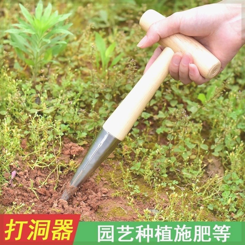 播种移苗追肥神器不锈钢木柄打洞器育苗播籽器花园多肉种苗打孔器图片
