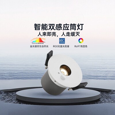 德国柏曼防眩护眼嵌入式筒灯玄关走廊智能双重感应洗墙灯