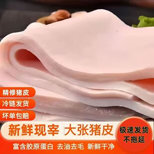 新鲜猪皮脊背皮大块去油去毛鲜猪皮皮肉皮冻冷冻猪纯脊背皮