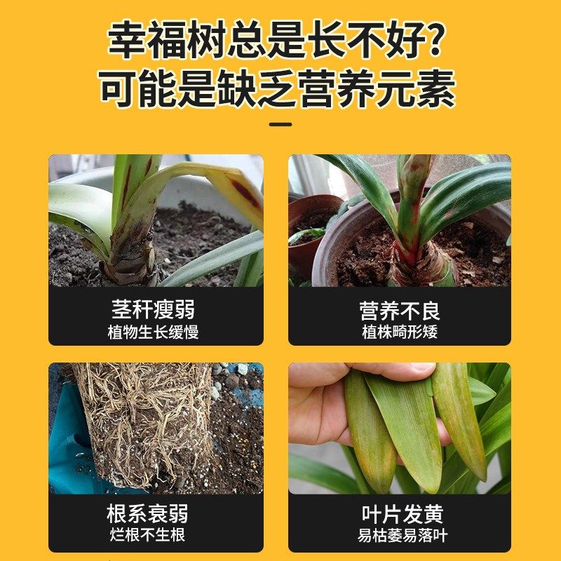 朱顶红肥料专用肥缓释肥重瓣种球植物促开花催花肥盆栽养护颗粒肥,鲜花速递/花卉仿真/绿植园艺,家庭园艺肥料,淘宝优惠券,粉丝福利购,淘宝优惠卷