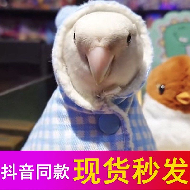 鹦鹉披风斗篷鸟衣服鹦鹉披风玄凤加厚保暖外出服鹦鹉用品鸟用品,宠物/宠物食品及用品,鸟禽服饰,淘宝优惠券,粉丝福利购,淘宝优惠卷