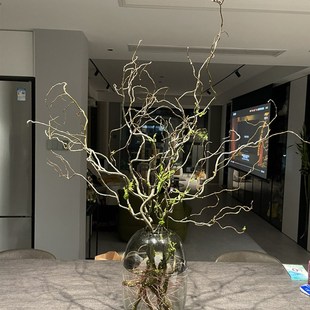 龙柳枝条树枝树干装饰室内高级感侘寂风天然真干花摆件插花干鲜枝