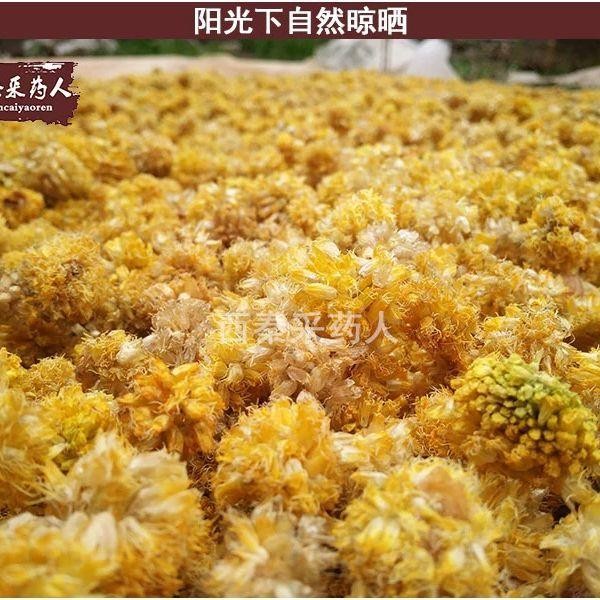 野葱花甘肃特产天然黄葱花炝锅浆水面葱花摘麻花扎蒙花山葱花100g