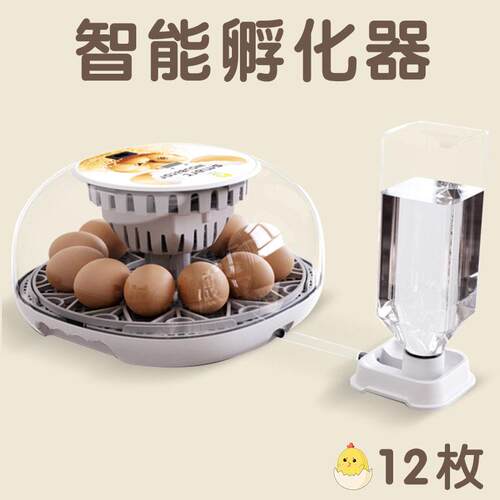 新品12枚家用小鸡孵化养殖设备孵化器鸡蛋孵蛋器鹌鹑孵化机