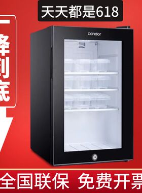 学校食品留样柜食堂用家用蔬菜保鲜学校幼L儿园冰柜冰箱商用展示