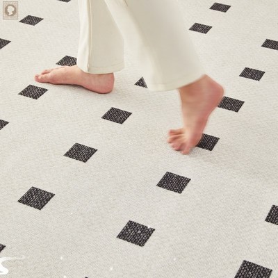 镇平地毯客厅2024新款卧室免打理地G垫免洗可擦高级感轻奢茶几垫