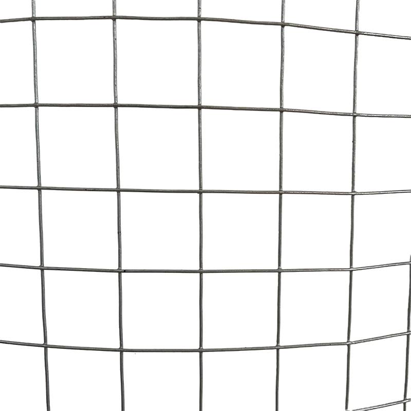 热度镀锌铁丝网围栏钢网格养鸡狗笼电焊网荷兰网不锈养殖网护栏网