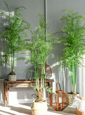 七茉 仿真文昌竹大型氧气蕨类绿植盆景假树室内装饰落地