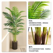 仿真绿植造景装 饰室内橱口摆设仿生散尾葵假树
