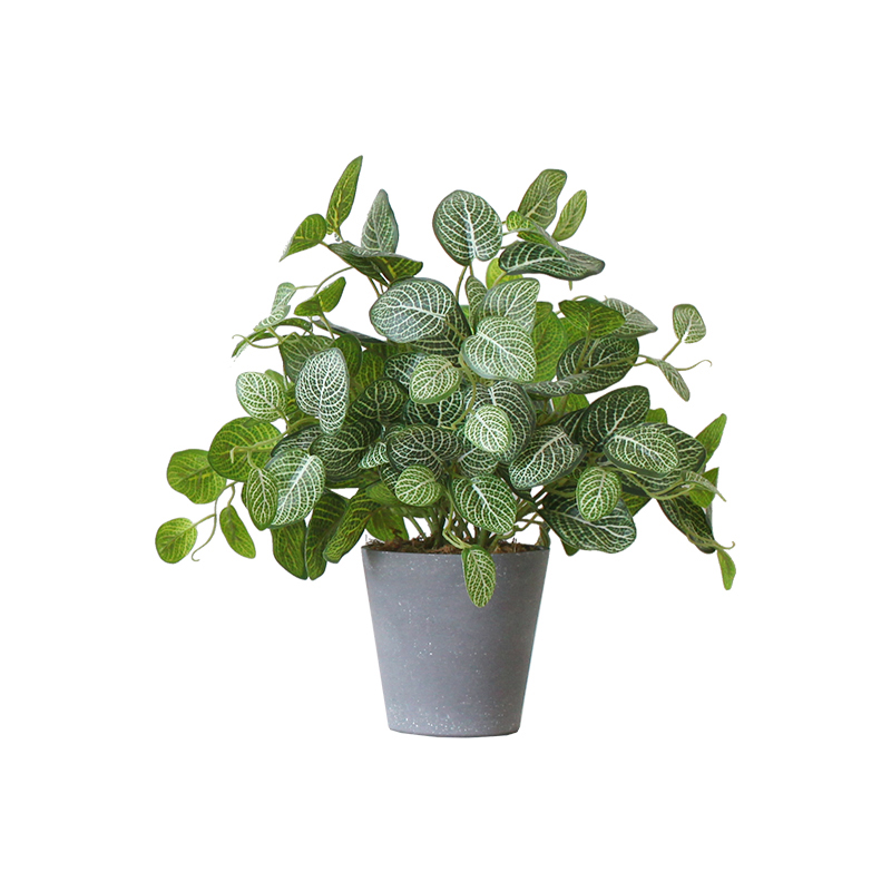 西西里 仿真绿植基础款桌面植物 家居客厅书柜隔板摆件餐厅办公室