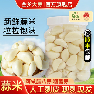 金乡大蒜去皮蒜米剥好蒜粒新鲜蒜瓣净大蒜头做糖蒜腊八蒜用罐装