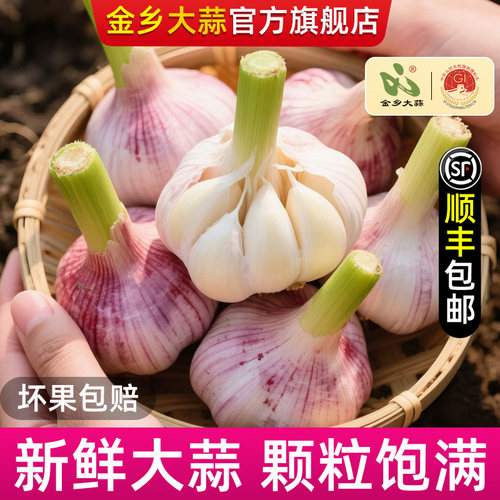 金乡大蒜官方旗舰店，今年新蒜，顺丰包邮