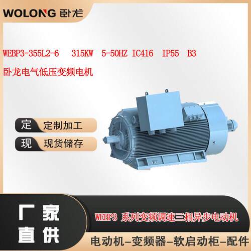 WEBP3-355L2-6 315KW  5-50HZ IC416  IP55卧龙电气低压变频电机