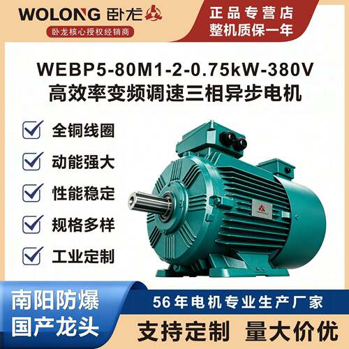 卧龙WEBP5-80M1-2-0.75kW‑380V-B3效率变频调速三相异步电机