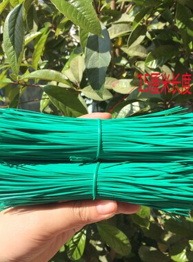 包塑绿色扎线家庭园艺园林植物扎丝 DIYI花木铁丝绑线铁芯扎带15c