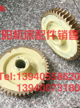 南京机床厂 C336-1 C336K-1 六角车床31-5-25蜗轮Z47 M3.5 铜涡轮