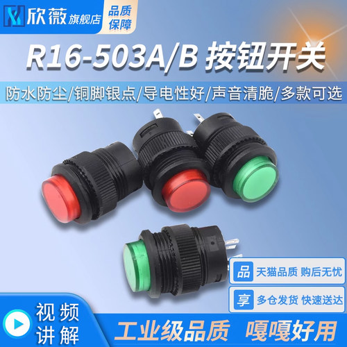 按键/按钮开关R16-503A/AD/B/BD 无灯/带灯复位/自锁式