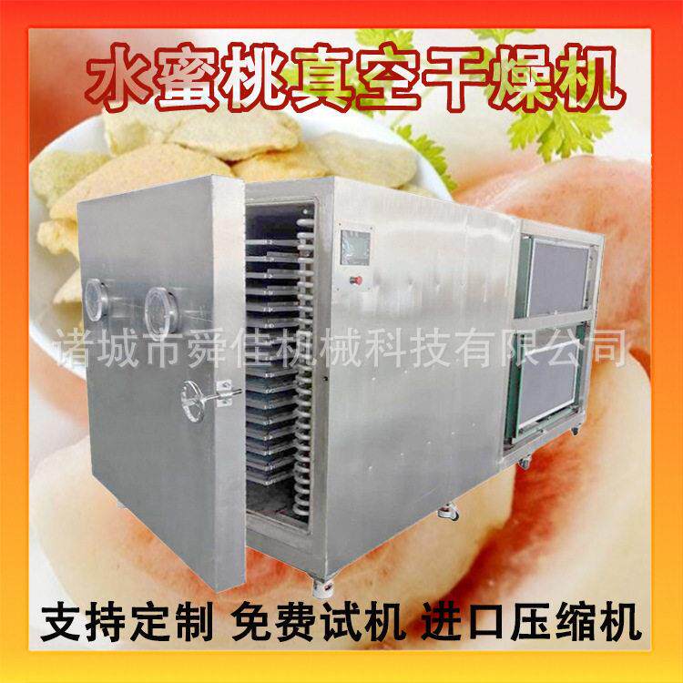 桃子真空冻干机蜜桃片低温脱水干燥机水蜜桃脆片真空干燥机厂家