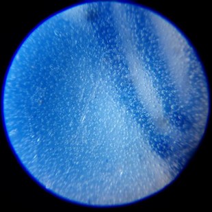 拜斯特倍放大镜LD带灯便携显微镜鉴定集邮看黑茶叶