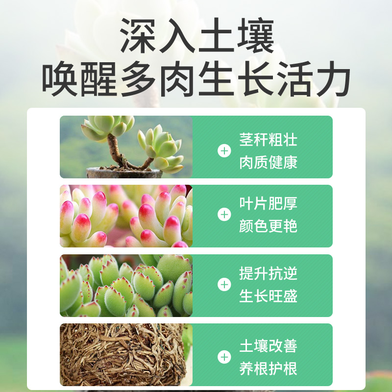 多肉专用肥缓释营养粒缓控释颗粒肥花卉绿植通用型氮磷钾复合肥料