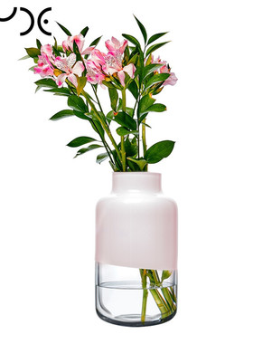 Nud 水晶玻璃欧式百合瓶客厅餐桌富贵竹插大号