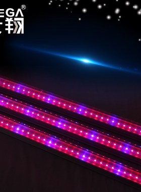 weg生长灯led仿太阳红蓝光多肉照光灯上色 食虫补光灯管