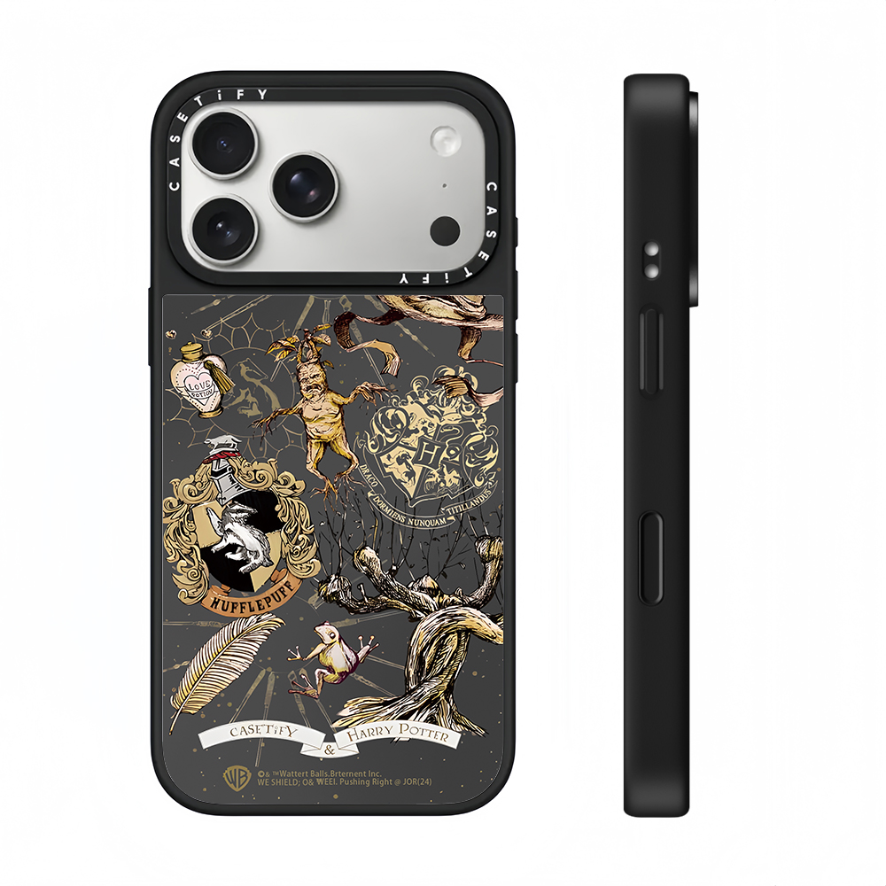 CASETi联名哈利波特适用苹果iPhone16ProMax手机壳15pro潮牌 13镜